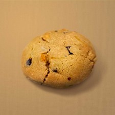 [JW] 르뱅쿠키생지(초코칩믹스너트)